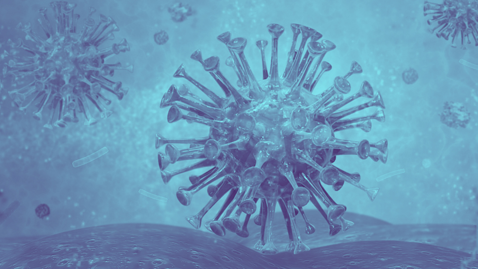 Enfermedades de Transmisión Sexual