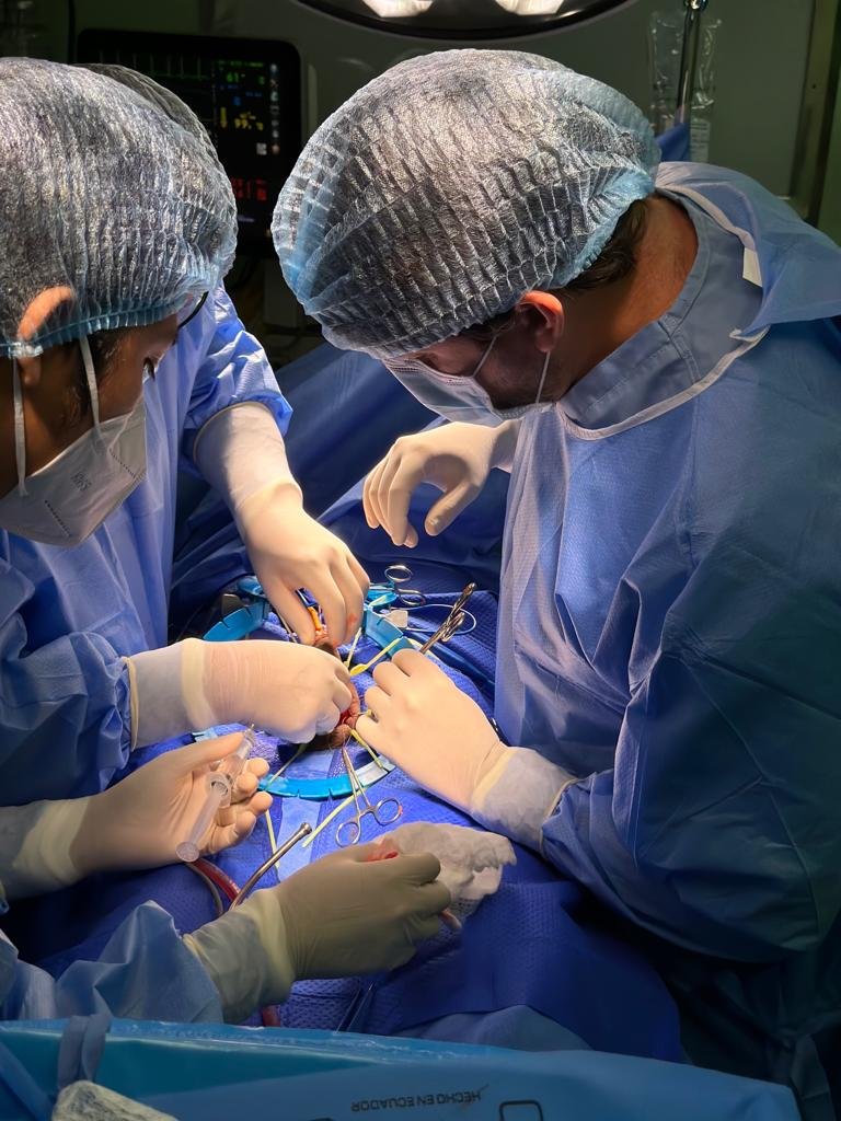 Procedimiento de vasectomia